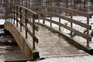 IMG_8253120212