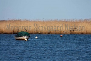 IMG_9063040812fb